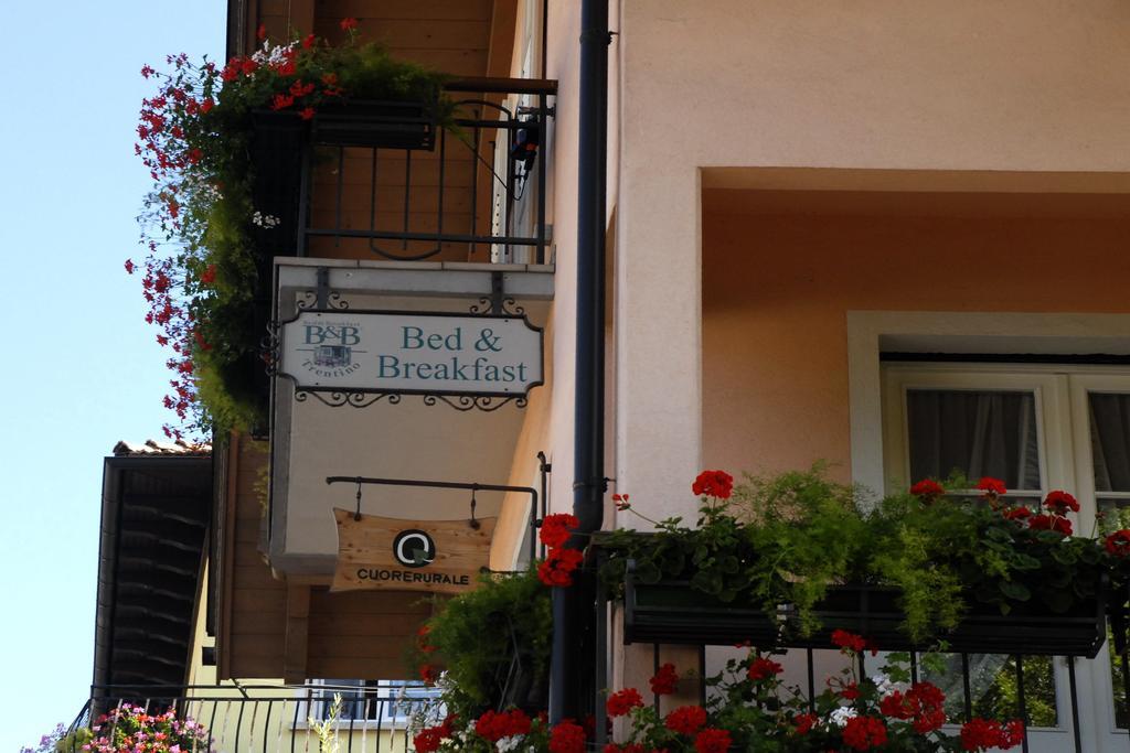 B&B Casa Riz Castello-Molina di Fiemme Extérieur photo